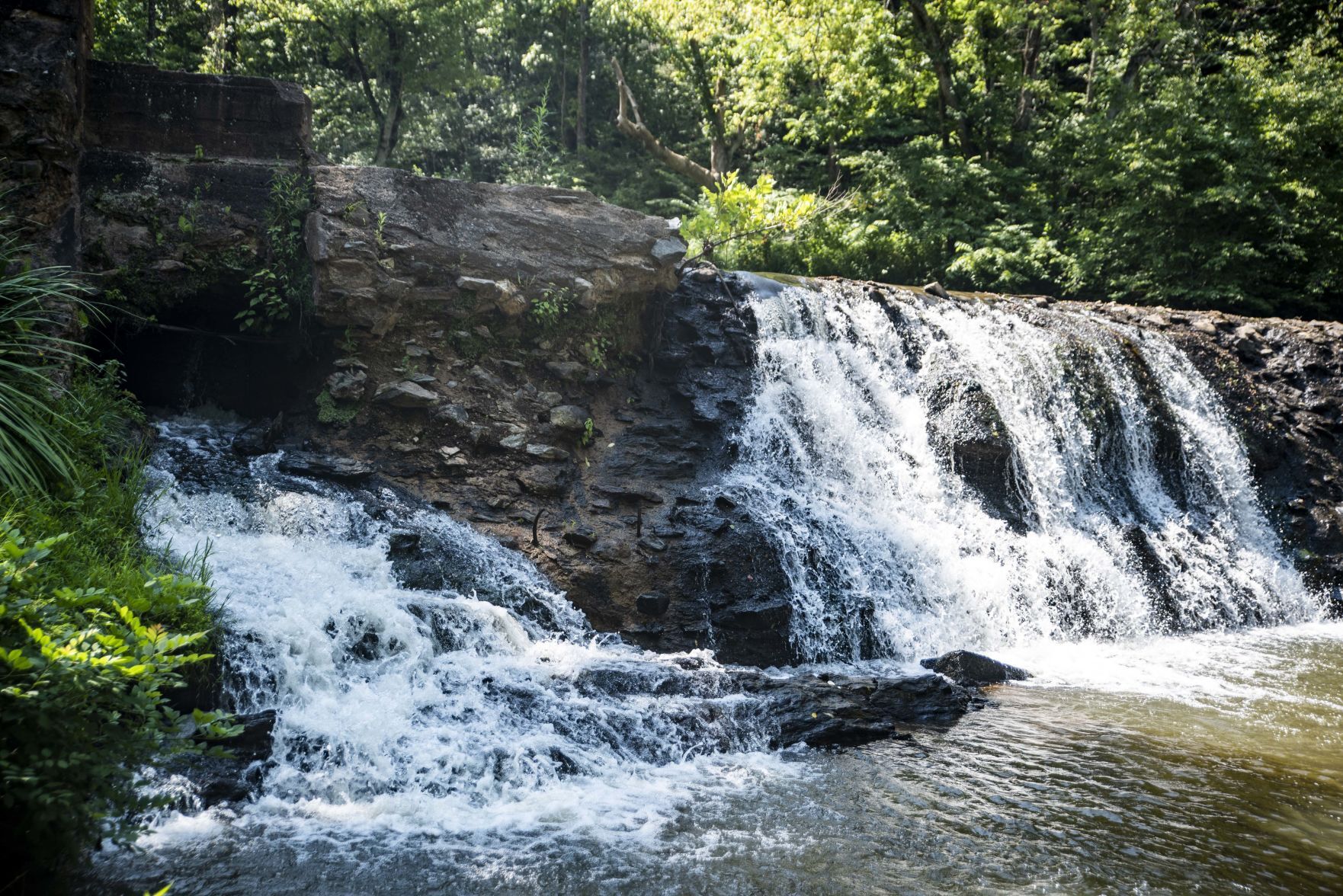 Welcome Home, Stonewall Mill